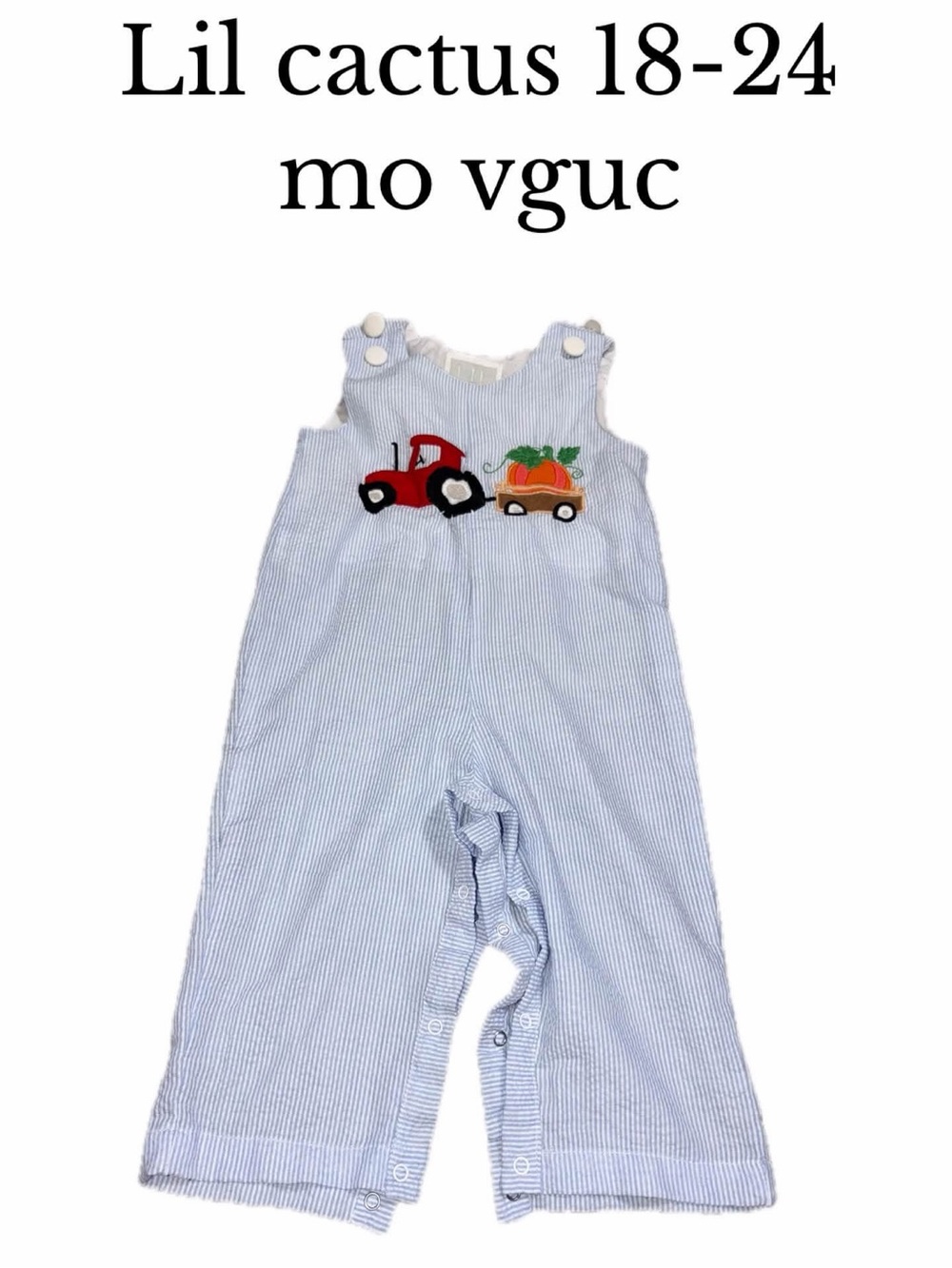 Lil cactus 18-24 month Halloween fall longall